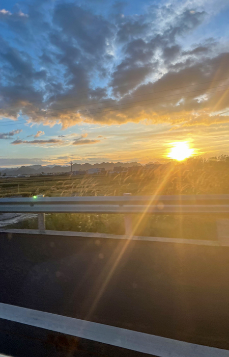 1651223033209983.jpg (小圖)李淑蘭:落日余暉.jpg